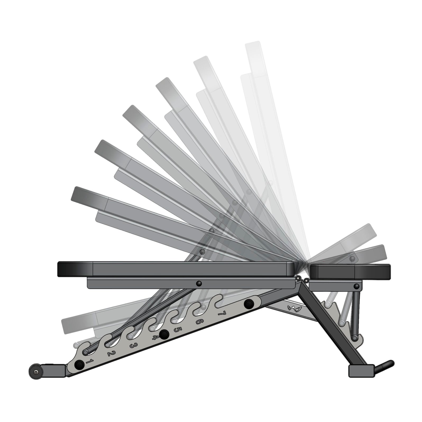 Watson Adjustable Bench upright