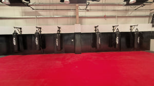 USA Standard 2x1 Meter Martial Art Mats