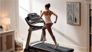 Rent the USA Nordictrack 1750 with a built in, Kick Ass: [Personal Trainer]- WINTER OFFER