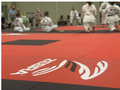 40mm Zebra Mats 2x1 Meter  professional Martial arts flooring