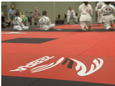 40mm Zebra Mats 2x1 Meter  professional Martial arts flooring