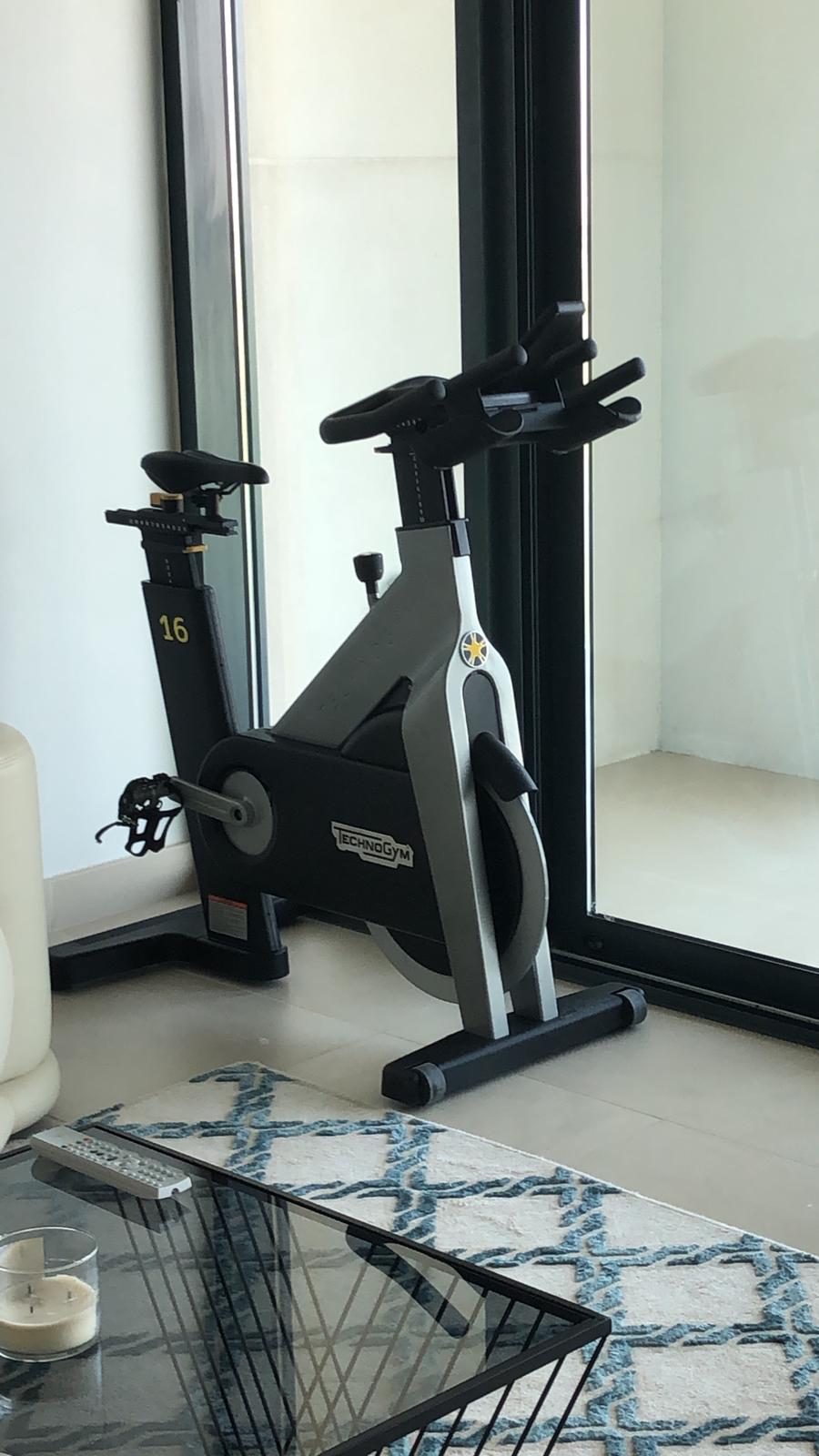 Technogym Group Cycle Rental. The Spin Studio Bike, At Home