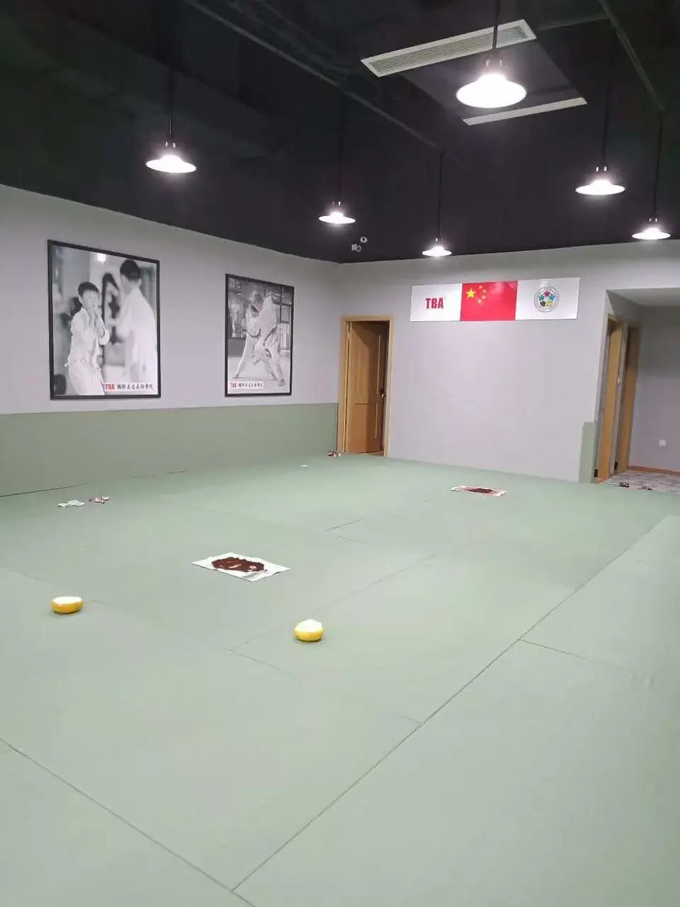 Gym Wall Pads - image 2