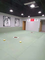 Wall Pads