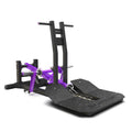 Insight Fitness PB Series PB312 Belt Squat