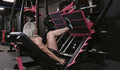 Watson Animal Plate Load Leg Press