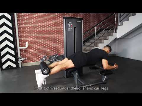 Insight fitness pin loaded leg extension SA025D video