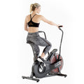 Schwinn Airdyne AD2 Bike